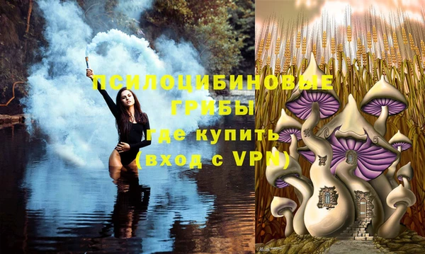 ALPHA PVP Богданович