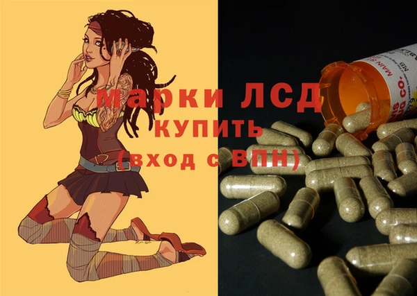 МДПВ Богородск