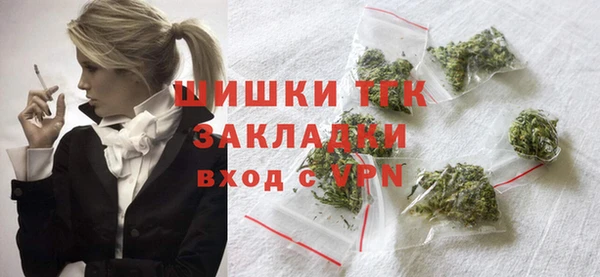 МДПВ Богородск
