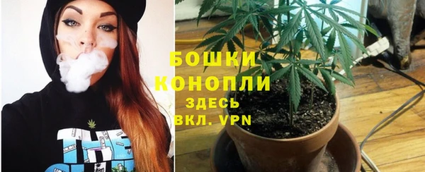 ALPHA PVP Богданович